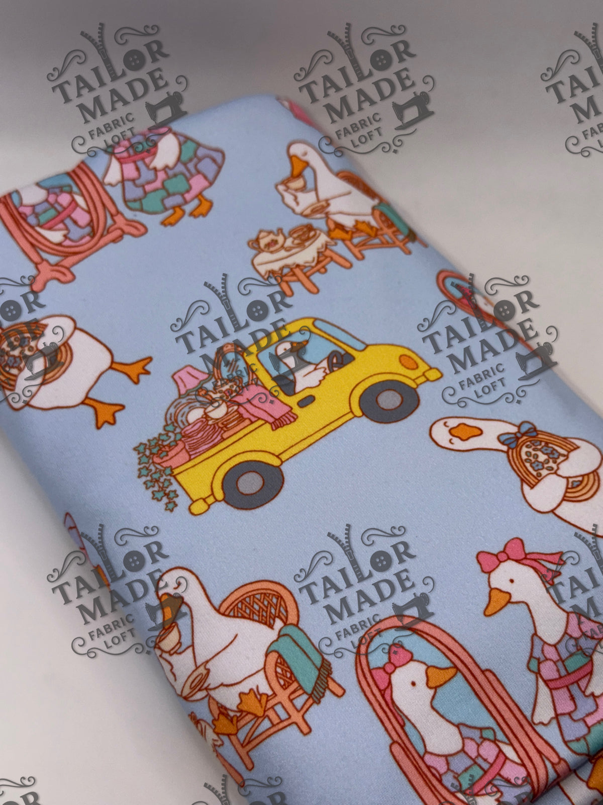 MISC - DUCKS IN CARS