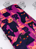 HOL - WITCH KITTY