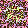 LBLB 0033